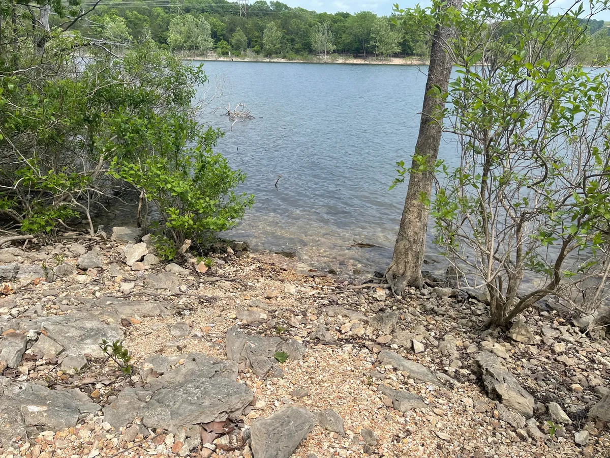 A scenic view of calm water along the rocky shoreline of Table Rock Lake, bordered by lush green foliage and a distant tree line. The peaceful atmosphere suggests a perfect spot for fishing, picnicking, or simply relaxing by the water's edge. The natural beauty of the lakefront is front and center, evoking the essence of tranquil waterfront leisure.